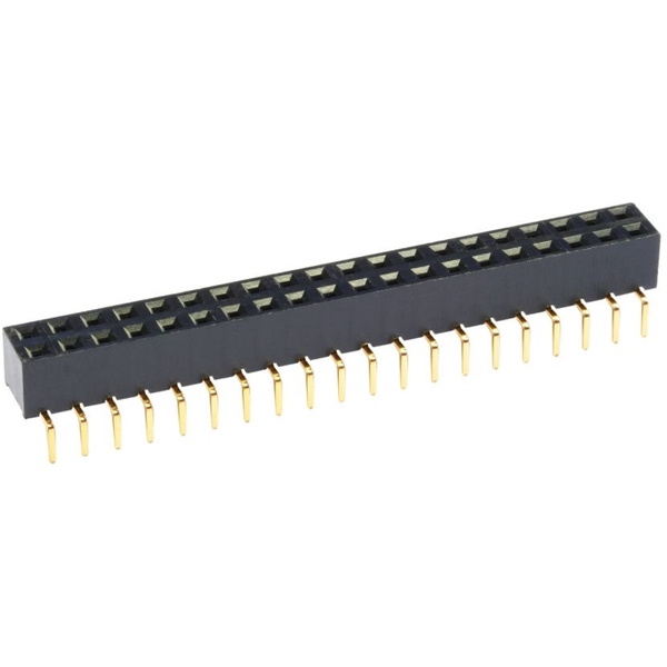 Buchsenleiste 10 Polig, 7,62mm Reihenabstand, RM 2,54mm
