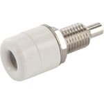 HQ 4mm Einbaubuchse mit isolierter Durchf&uuml;hrung  Weiss econ connect TB4WS